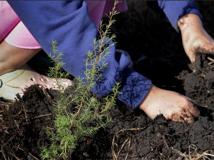 15th annual Arbor Day planting-day