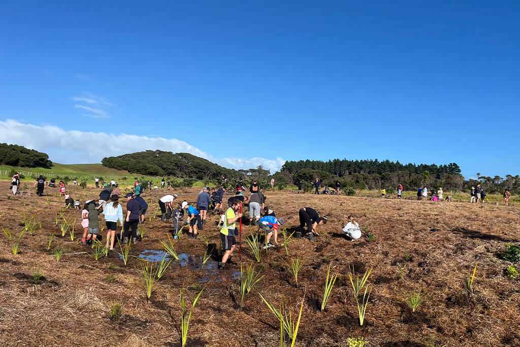 15th annual Arbor Day planting-day