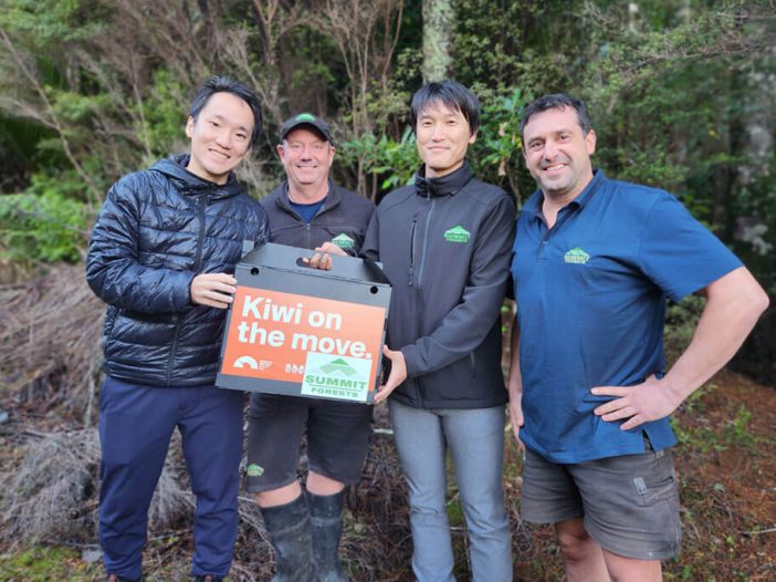 Forestry owners helping to save the kiwi