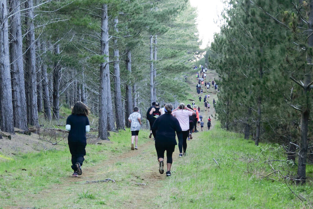 Hosting the 2023 Summit Forests Kaitaia Run/Walk