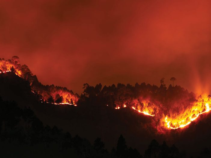 It's time for Kiwis to get more fire-wise