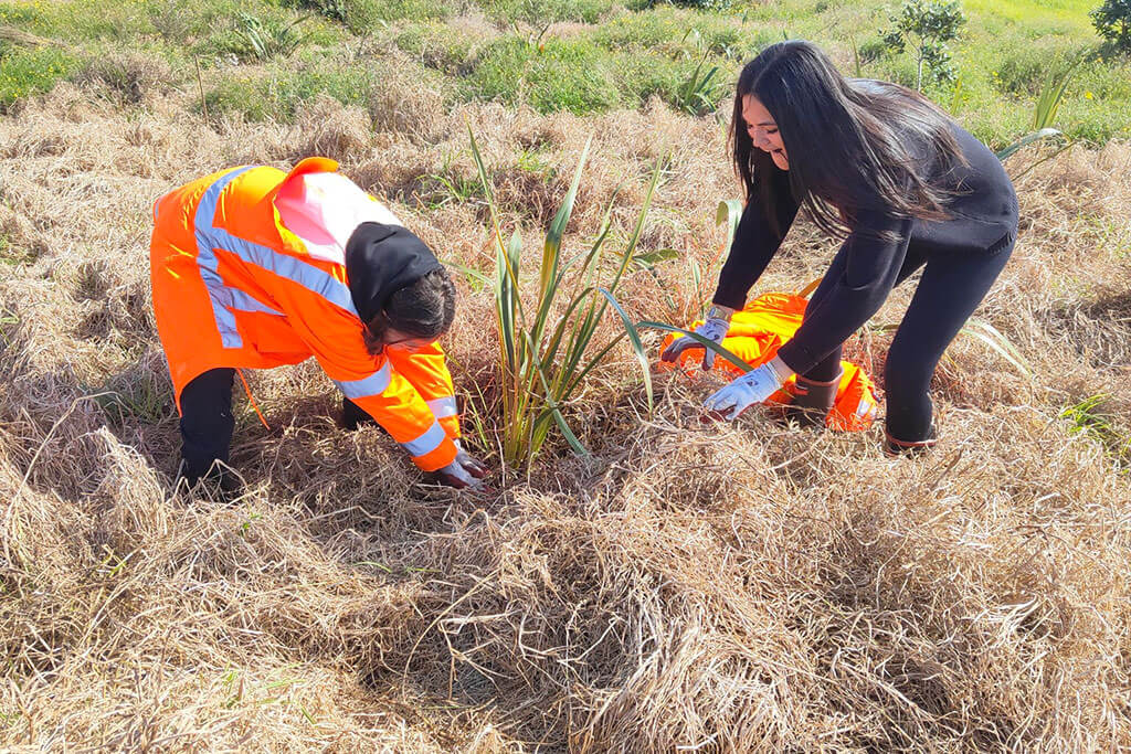 Kaitaia students shine in Dune Lakes Restoration