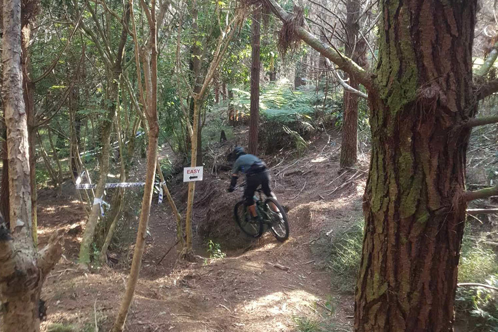 Summit Forests - Welcomes Kerikeri Mountain Bikers to Whitehills