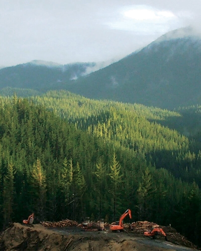 Summit Forests - Work site