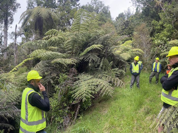 Addressing kauri dieback